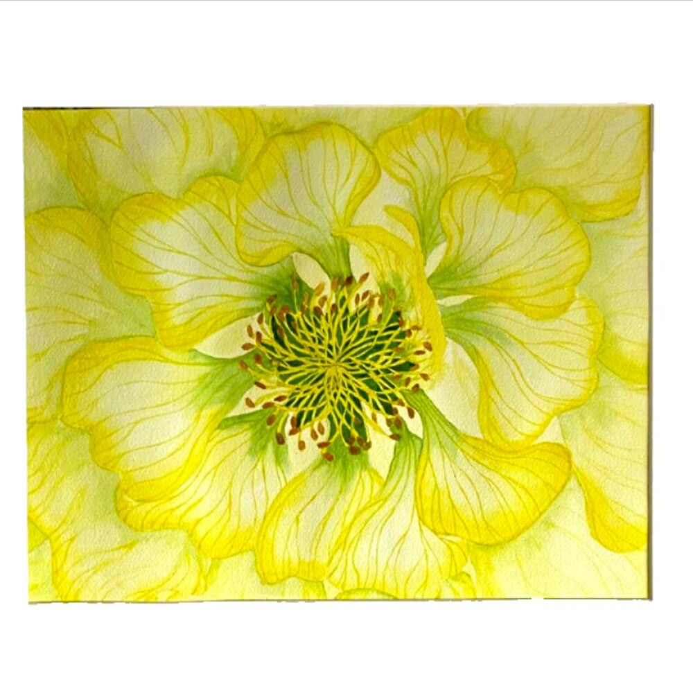 PAINTING WATERCOLOR ORIGINAL ART PEONY FLOWER YELLOW GREEN 11X14 WHITE MAT 16X20